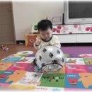 공때리기 Daum카페