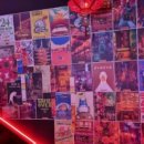 팰릭스바이에스티엑스 이미지