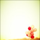 감성 데이트스냅 잘찍는 blossom 블러썸 파격 할인