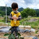 금대리 경로당 이미지