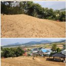 충북장묘