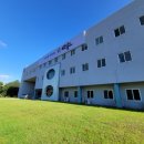 팔마수영장 이미지