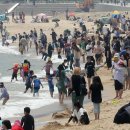 해운대해수욕장 이미지