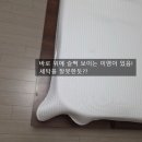 홈바디 | 올포홈 냉감패드, 배게커버, 바디필로우 내돈내산 후기