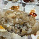 샹떼PC방 | 충주 간장게장 맛집 안스게장 충주대박점에서 무한리필 한상