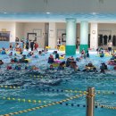 남선공원종합체육관 수영장 이미지