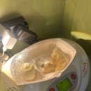 오리들1길 이미지