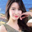 호스텔 오렌지트리 Daum카페