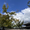 수정다방 | 2025 하반기 창덕궁 약다방 후기 + 꿀팁 (상편)