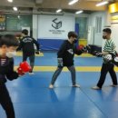 주짓수박스구미.석적