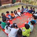 🌞오.예.스🌞4-1주 고운햇살반 이야기-방울토마토 모종 심기- 이미지