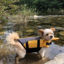 풀빛둥지펜션 이미지