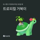 나의새탁소 | 3월 1주 : 이어져 가서는 닿기를