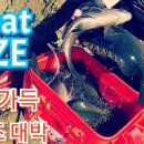 벵에돔 낚시 (Opaleye Fishing)