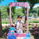 공주 유구 색동수국정원 꽃축제 이미지