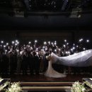 국제웨딩컨벤션(주) 이미지