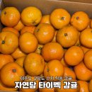 자연담을농부 | 제주 고당도 서귀포 감귤 산지직송 타이백 감귤 후기