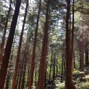 청수약수터 이미지