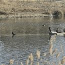 남산작은도서관 이미지