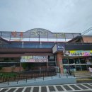 도군로-3 티스토리