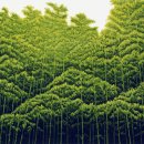 畵 刻 人 김준권 목판화展 이미지