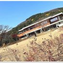 도도캣캐터리 | 반려묘, 평생 함께할 인연을 찾는 감동적인 이야기