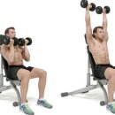 아놀드GYM 이미지