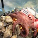 여수 갈치한상 이미지