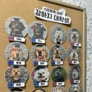 스탠퍼독 이미지