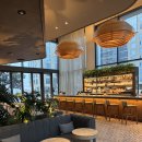 덴탈메이플 | LA다운타운 숙소 콘래드 로스앤젤레스 숙박후기