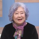 정혜선 카카오 검색결과