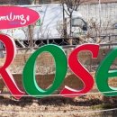 이곡보리밥 이미지