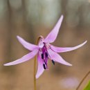 망경산성 이미지