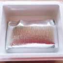 천지천우 이미지