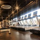 플로리다 피트니스 이미지