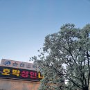 호박성인나이트 - 용인시 처인구 백옥대로 1112 | 호박성인나이트