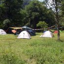 초원 숲속 야영장 이미지