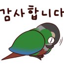 정천초등학교 이미지