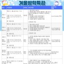 뉴비전어학원