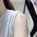 2020-주129 이미지