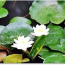 충주자연생태체험관 이미지