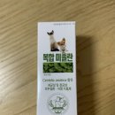 동물의왕국 동물병원 이미지