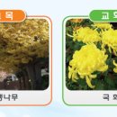부산해군과학기술고등학교 이미지