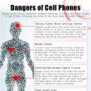 Why You Need to Stop Carrying Your Mobile Phone in Your Pocket or Bra 이미지