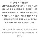 채홍일 카페-법제처-국가법령정보센타-화물자동차 운수사업법, 운송사업법,(국토교통부), 1톤 트럭 개인용달 영업용 용도변경, 사업자등록 허가 신청서류는? 이미지