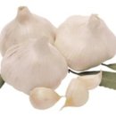 데일리 키친랩 이미지