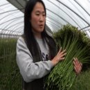 수만농장 이미지