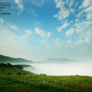 하늘동화 이미지