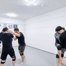 딥앤하이스포츠 이미지