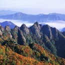 구봉산 티스토리